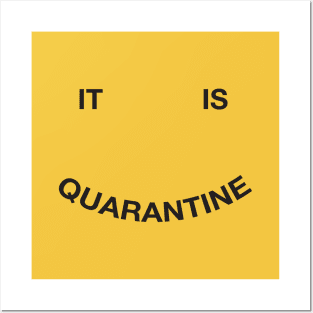 it is quarantine babe Posters and Art